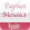 vGuide - Paphos Mosaics
