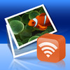Wireless Transfer App - Share and transfer photos and videos via wifi