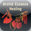 Orchid Essence Healing
