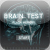 Brain Test Flash Memory