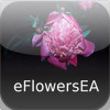 Flowers of Europe and Asia - eFlowersEA