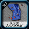 Knee Anatomy 3D