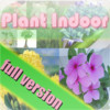 plant Indoor