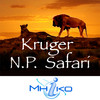 Africa Travel: Kruger National Park Safari