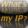 What's IP ?