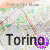 Torino Street Map