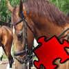 A Puzzle With Horses and Ponies - Free Interactive Game For Kids Learn Logical Thinking with Fun