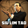 Ip Man Wing Chun Kung Fu : Siu Lim Tao