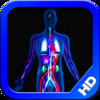 The Body HD - Human Anatomy Learning Tool & Quiz