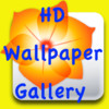HD Wallpaper Gallery (flower)