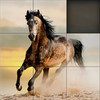 Aah! Games 4 all - Horses Slide Puzzle