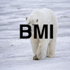 Polar BMI