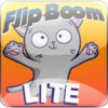 Flipboom Lite FREE