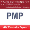 PMP Exam Prep by Course PTR