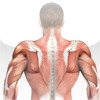 Back & Shoulders: Muscle Building with Craig Ramsay