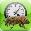 Bees Clock