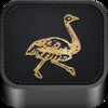 Backes And Strauss for iPhone