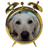 Dog O'Clock (enhanced iPad version)