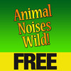 Animal Noises Wild!