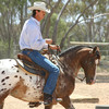 Silversand Horsemanship Foundation Skills 1 - Equestrian Groundwork and Horse Back Riding