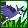 Bird Adventure Tap Game PRO- A Flying City Fun Game of Skill