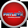 Payless Plumbing Service - Pharr