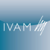 IVAM Collection
