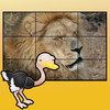 jungle animals puzzles for kids