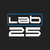 Lab 25