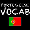 Portuguese Vocab Game - learn vocabulary the fun way!
