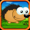 Hedgehog Dash Bounce