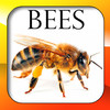 Bees Encyclopedia