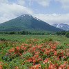 Aomori -Photo Library of Sightseeing-