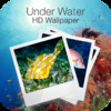 Underwater HD Wallpapers for iOS7