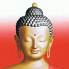 The Next Buddha 1