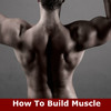 How To Build Muscle: Learn How to Build Muscle and Strength