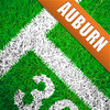 Auburn College Football Scores