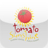Tomato Sunshine