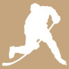 Anaheim Hockey News and Rumors