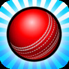 Cricket Xtreme Flying Ball