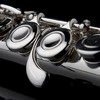 Flute Tuner: Tuner For Flute Plus Flute Metronome