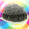 The Caviar Bible