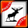 PhotoSizer