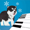 Singing Husky Puppy Piano