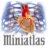 Miniatlas Acute Coronary Syndrome