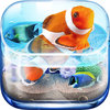 Dream Aquarium live HD - Joy Fish Tank Marine Ocean School & Virtual Zen Fishes Tour