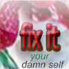 Fix It Your Damn Self: lite