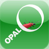 OPAL Bugs Count Pocket ID Guide