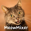 MeowMixer - Repeat the Meow Sound Game
