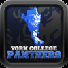 York College Athletics